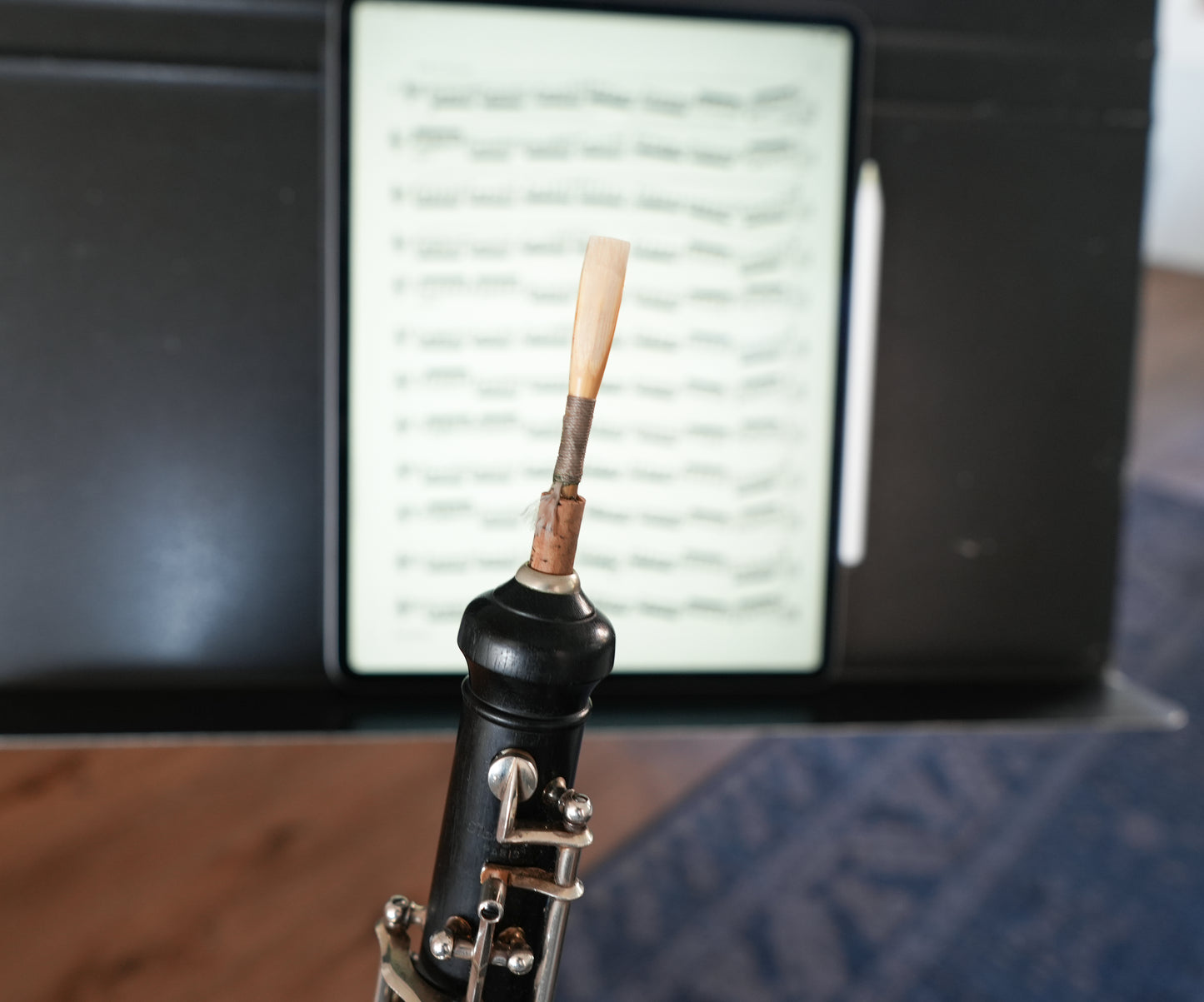 Oboe lessons