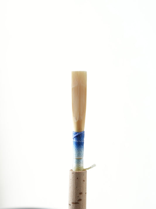 Partially Scraped Oboe Reed